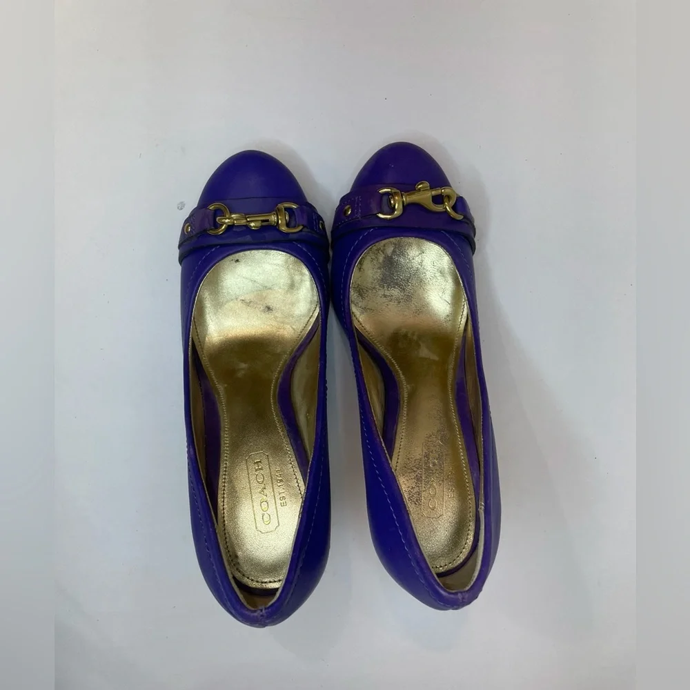 Coach Desaree Purple Bock Heel Pumps Gold Hook‎ Buckle Accent Heels Size 6 B